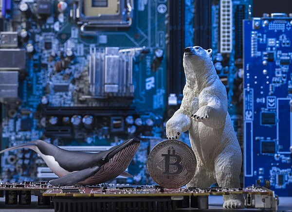 Presiune pe Bitcoin după ce o „balenă” a transferat aproape 10.000 BTC pe Binance. Ce urmează pentru preț