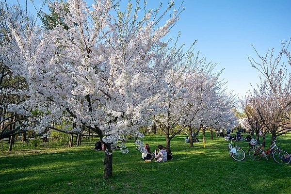 Prognoza pentru luna martie. Temperaturi ridicate și puține ploi